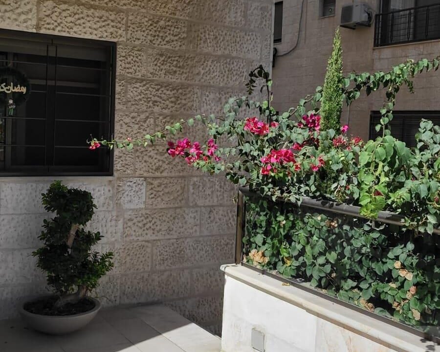 IMG-20230914-WA0010 (نسخ)