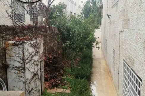 26166213_1969031880081120_5477897205676915937_n