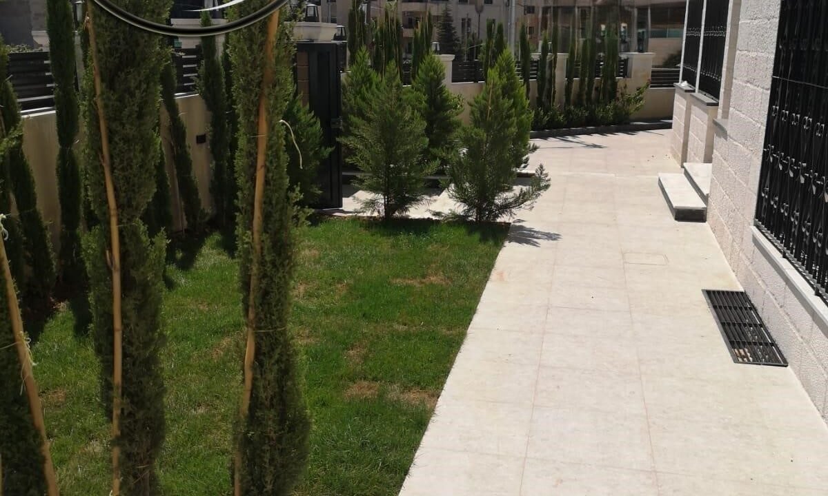 IMG-20240908-WA0015 (نسخ)