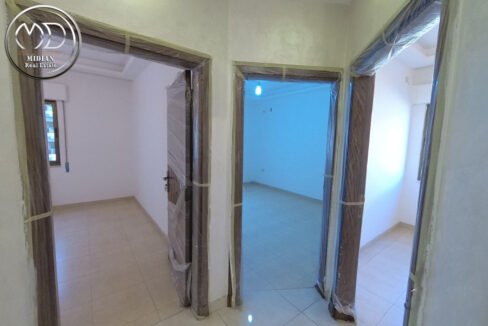 1553138761520330272_large (1)